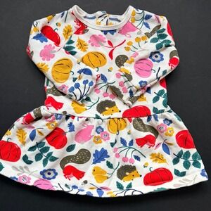 Baby Boden Fall Cosy Sweatshirt Dress Pumpkins Hedgehog Floral Rabbit 9 - 12 M